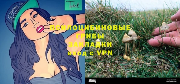 ALPHA PVP Арсеньев