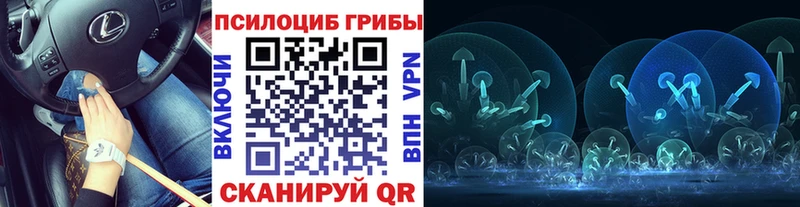 закладка  Руза  Галлюциногенные грибы мухоморы 